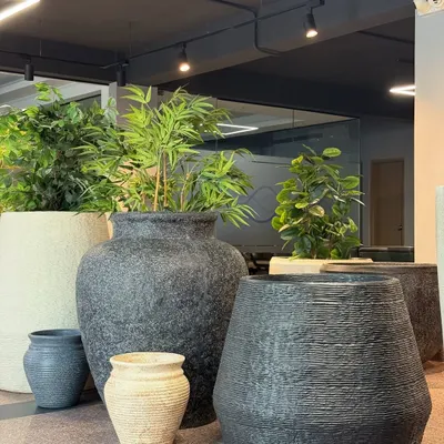 Something for every budget, space, and story. A collection of our textured planters in various shapes and sizes, perfect for creating a stylish plant cluster.