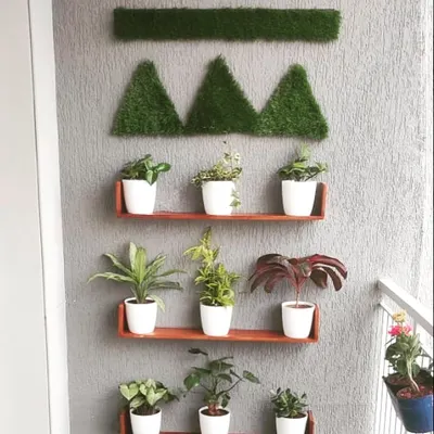 Elevate your plants with simple wall shelves. This setup creates a clean, organized display that turns your plants into a living art installation, complemented by geometric turf art on the wall.