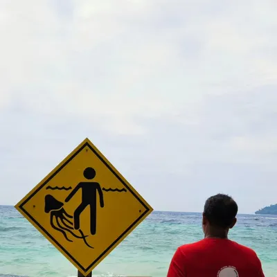 This picture perfectly captures the spirit of our adult team, the Jellies. We named ourselves after getting stung during a race in Goa, deciding to embrace adversity and make the jellyfish our mascot.