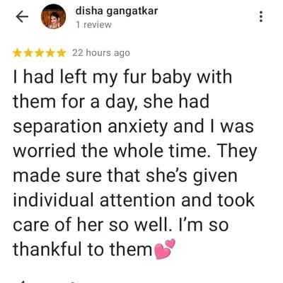 We were so happy to help Disha's fur baby with her separation anxiety. Providing individual attention and care is what we do best, and we're thankful for her trust in us.