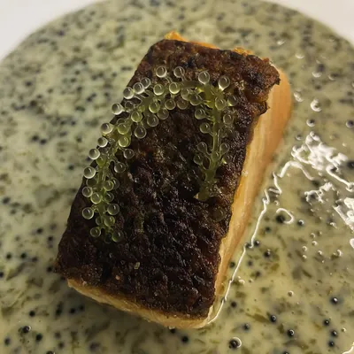 A perfectly seared salmon fillet with crispy skin, served on a creamy sauce with tobiko and garnished with delicate sea grapes for a pop of texture.