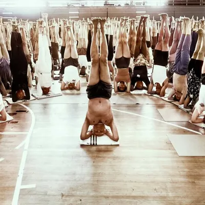 My Guru, B.K.S. Iyengar, leads a large class in Salamba Sirsasana (Supported Headstand). This powerful image showcases the unity and discipline of the practice, where each student works to find stability and poise in the king of all asanas.