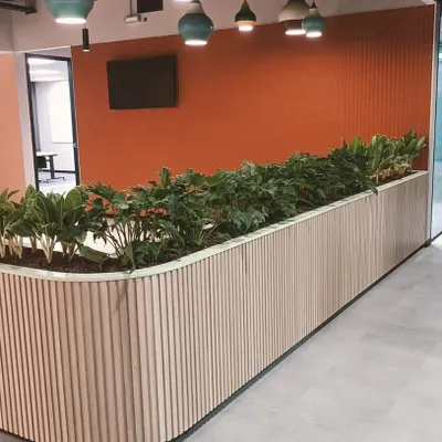 This built-in planter acts as a natural and beautiful divider in a busy office hallway. The wooden fluted paneling complements the lush green foliage, creating a sophisticated design element that also improves the office environment.