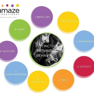A newborn has nine instinctive stages in the first hour after birth when held skin-to-skin, from the first birth cry to crawling, suckling, and finally sleeping. Understanding this helps you protect that magical first hour.