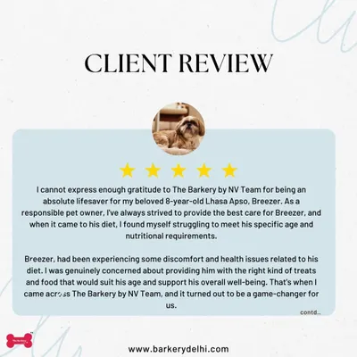 This review from Breezer's mom means the world to me. Finding the right food for an 8-year-old Lhasa Apso with specific needs can be a struggle, and I am so happy my treats were a game-changer for them.