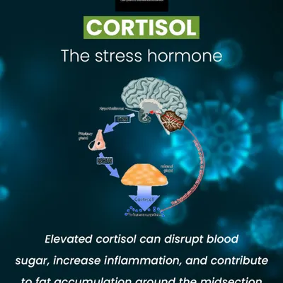 Stubborn belly fat and cravings are often signs of hormonal imbalance. Elevated cortisol, the stress hormone, can disrupt blood sugar and lead to fat accumulation around the midsection.