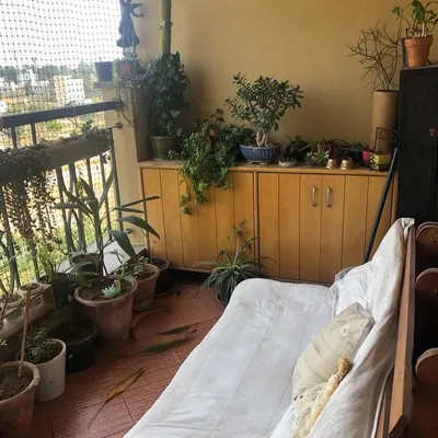 This was the 'before' shot. The balcony had an unused sofa and a collection of plants that needed organizing. I saw the potential to repurpose the sofa's frame into something new and functional.