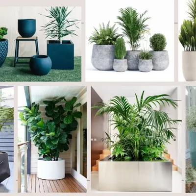 This collage represents the breadth of my styling capabilities. It shows a wide range of indoor and outdoor planters, from modern minimalist pots to large statement pieces, each paired with the right plant to create a specific mood and enhance the surrounding architecture.
