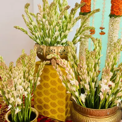 I always use fresh, high-quality flowers in my decorations. These beautiful tuberose stalks, arranged in traditional brass vases, add a wonderful fragrance and elegance to any event.