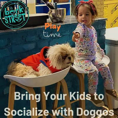 Playtime is for everyone! We've created a safe and fun space for kids to socialize with doggos. It's a great way for little ones to learn about empathy and compassion while making new furry friends.
