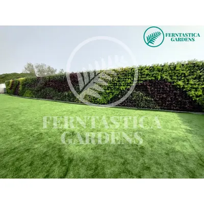 We are passionate about conquering the concrete jungle with our vertical gardens. This wide view shows the scale of a curved outdoor green wall, designed to create a massive visual impact and bring a huge dose of nature back into the city.