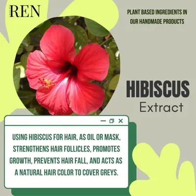 Hibiscus, often called the 'botox plant', is a natural miracle for hair. It's rich in amino acids and vitamins that strengthen follicles, promote growth, and even help cover greys. I use its potent extract in my Hibiscus shampoo, conditioner, and oil.