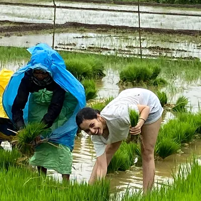 There's a deep connection that comes from participating in the process of growing your food. Here I am, planting rice in the paddy fields. Understanding where our food comes from fosters gratitude and a healthier relationship with what we eat.