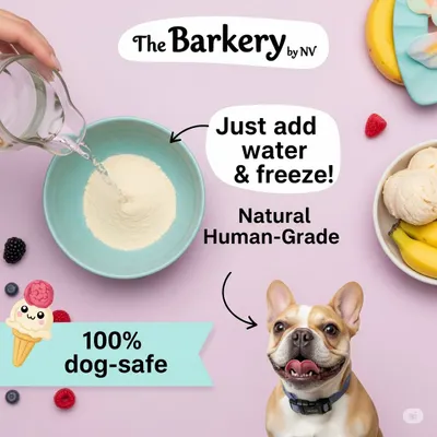 Making a treat for your dog has never been easier. My dog-safe ice cream mix is made with natural, human-grade ingredients. Just add water and freeze for a 100% dog-safe and delicious frozen snack.