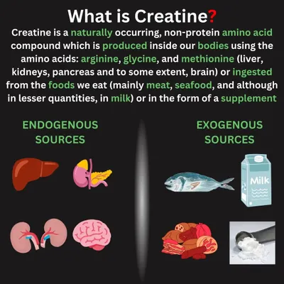 What is Creatine? It's a naturally occurring amino acid compound, not a steroid. This infographic breaks down where it comes from, both from food and what your body produces.