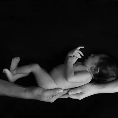A classic black and white photograph showing a newborn resting safely across the hands of their mother and father. This style emphasizes connection and emotion.