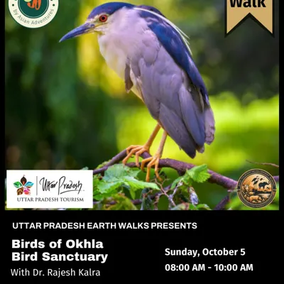 An announcement for our free bird walk at Okhla Bird Sanctuary, featuring the Black-crowned Night Heron. These walks, led by naturalists like Dr. Rajesh Kalra, are a perfect introduction to the rich avian life in Uttar Pradesh's urban wetlands.