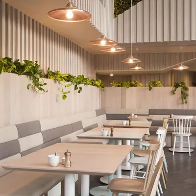 This is a design concept we created for a modern cafe interior. The plan features long, comfortable banquette seating, light wood tables, and natural elements like indoor plants to create a relaxed and welcoming atmosphere for customers.