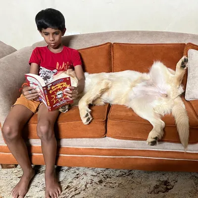 The beautiful result of our Board & Train program. Here is Pepper, calm and relaxed on the couch next to her young family member. Our goal was to ensure she grew into a gentle and trustworthy companion for the child, and this picture shows that success.