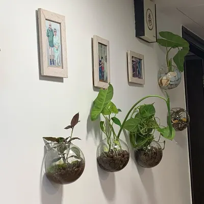 A gallery wall of living plants. I used a series of hanging glass bowl terrariums to display different types of small indoor plants, turning a simple hallway into a dynamic and green focal point.