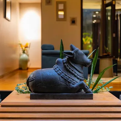 A close-up of the handcrafted stone Nandi that sits at the center of the courtyard in our "Between Two Trees" project. This sacred element brings a sense of peace and tradition to the home.