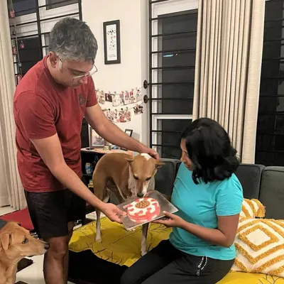 This is the heartwarming homecoming story of Lucky, a resilient indie who found her forever home after an accident. I was so honored to provide the cake for her "Welcome Home" celebration.