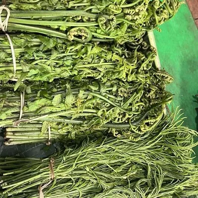 Bundles of foraged greens, including fiddlehead ferns (Dhekia Xaak). These wild vegetables are a seasonal specialty and a core part of hill cuisine.