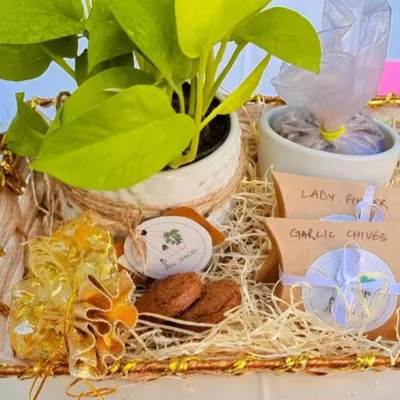 This custom gift hamper is a great example of a complete gifting solution. It features a low-maintenance plant, edible treats, and interactive DIY seed packets, all beautifully arranged in a reusable basket for a lasting impression.
