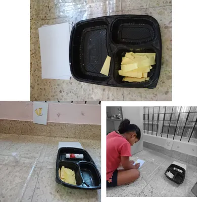 Our art corner is always available for children to express themselves. This collage shows a child using recycled materials to create, demonstrating that art is about imagination, not expensive supplies.