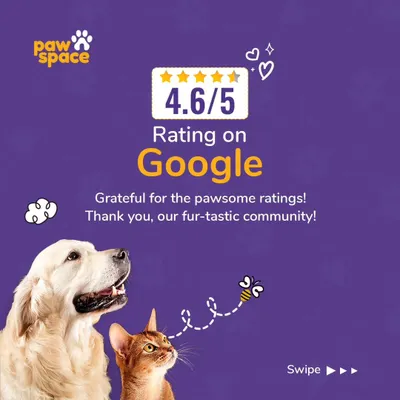 We are incredibly grateful for the pawsome feedback from our community. A 4.6/5 rating on Google is a testament to the hard work and love our team puts into caring for every dog, cat, and furry client.