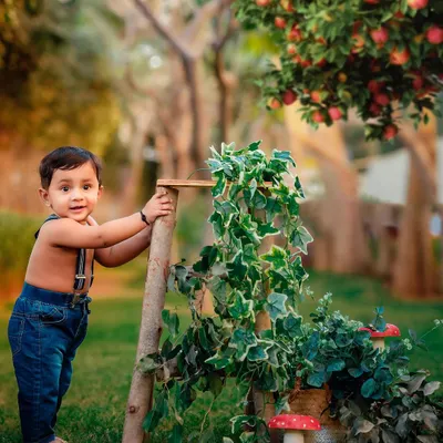 A charming outdoor portrait of a toddler during a golden hour session. The rustic props like the ladder and apple tree create a storybook feel for this sitter session.