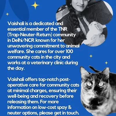 This is Vaishali, a key member of our TNR community in Delhi/NCR. She provides amazing post-operative care at minimal charges, making sure every cat recovers fully and comfortably after their spay or neuter surgery.