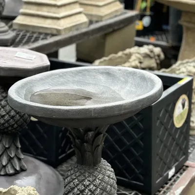 A simple stone birdbath provides a source of water for birds and adds a classic decorative element to the garden.
