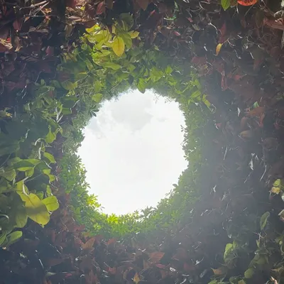 A view looking up from inside the "Plastreen" installation. The interior is a living green wall, opening to the sky to make people think about nature and positive change.
