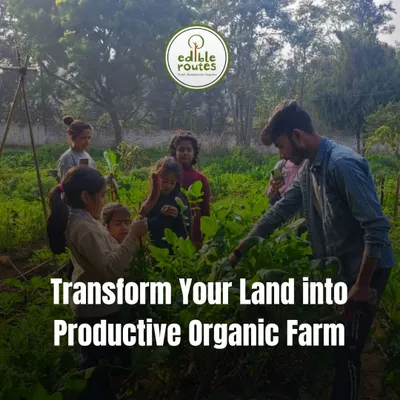 My goal is to help you transform your land into a productive organic farm. I guide you through every step, from planning and soil preparation to planting and harvesting.