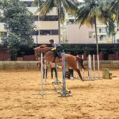 A rider and horse perfectly synchronized mid-air over a vertical jump. This is the result of dedicated training and a strong partnership.