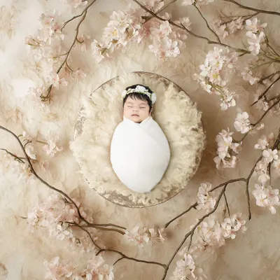 A newborn baby peacefully sleeping in a basket, surrounded by delicate cherry blossoms. This is such a serene and beautiful way to photograph the newest member of your family.