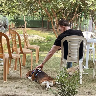 This is what a therapeutic weekend looks like. A happy, relaxed dog and a happy, relaxed pet parent enjoying some quiet time together under the trees.