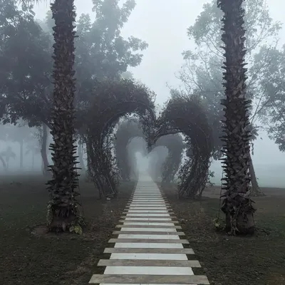 A foggy winter morning at a park in Gurgaon. I was drawn to the symmetry of the path leading through the heart-shaped arches, creating a surreal and romantic mood in the mist.