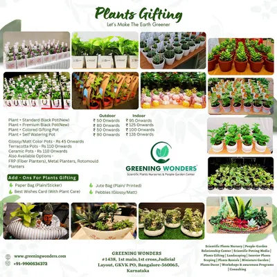 Our plant gifting menu, detailing the prices for various indoor and outdoor plants, pot options, and add-ons like paper bags, jute bags, and pebbles.