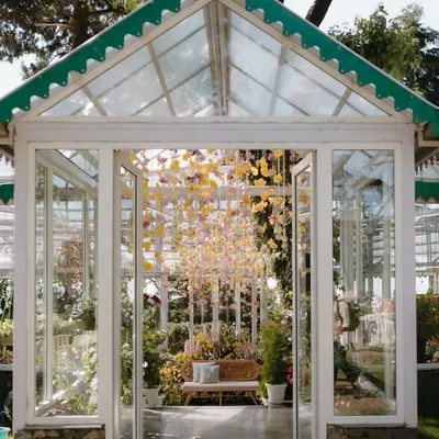 The entrance to a magical Haldi ceremony in a Mussoorie greenhouse. The glass structure, filled with a canopy of hanging flowers, created a breathtaking first impression for guests.