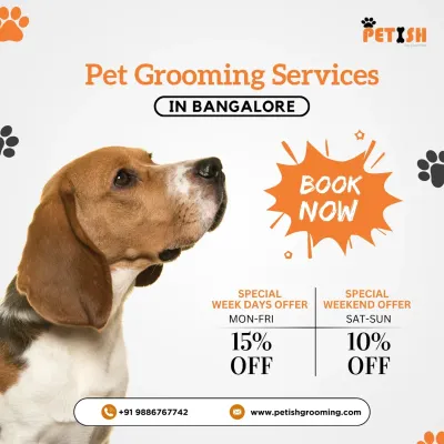 Take advantage of my special offers! I provide a 15% discount on weekdays (Mon-Fri) and a 10% discount on weekends (Sat-Sun).
