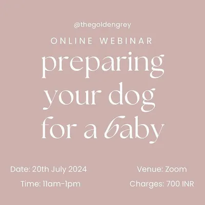 This is my most popular webinar, designed specifically for expecting parents. We cover the essential steps to prepare your dog for a new baby, ensuring a smooth and safe transition for your growing family.