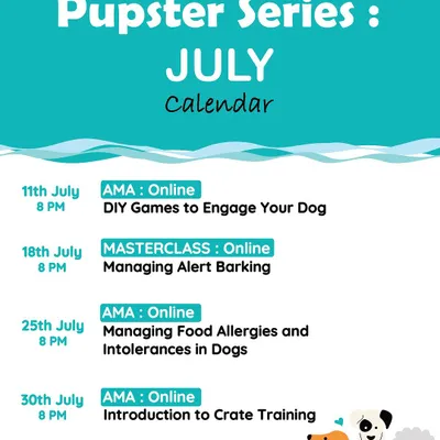 Here is a sample calendar of my online events. I regularly host workshops and 'Ask Me Anything' sessions on topics like DIY games, managing barking, food allergies, and crate training, often in partnership with great brands like Heads Up For Tails.