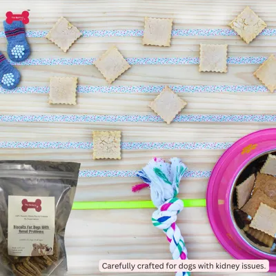 These are my special biscuits for dogs with renal problems, carefully crafted to be gentle on their system. This flat-lay shows the treats alongside a dog's favorite toys, because a special diet should still include moments of joy.