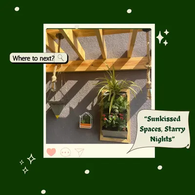 Sunkissed spaces and starry nights. Even a small wall can become a point of interest with a vertical planter and other small, artistic decor elements.