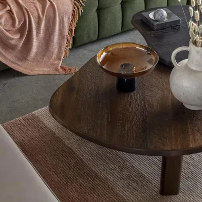 A close-up on the details of a Mumbai apartment, where an organic-shaped wooden coffee table and earthy textiles create a tactile and grounded living space.