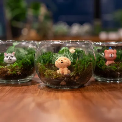 A collection of my miniature moss gardens, each featuring an adorable dog figurine. These are a perfect, playful gift for any dog lover and nature enthusiast.