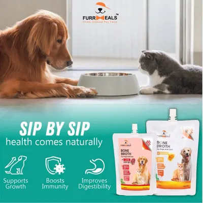 Sip by sip, health comes naturally. My bone broth is suitable for both dogs and cats, supporting growth, boosting immunity, and improving digestibility. It's a simple, natural way to enhance their daily meals.
