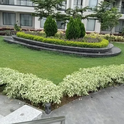 Landscaping for a commercial building or hotel, featuring a raised, curved garden bed with a mix of shrubs and trees. This design adds visual interest and a touch of green to the building's facade.